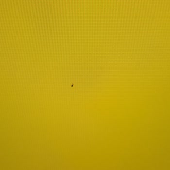 TCL Televizyon TCL Yetersiz Servis Ve Ölü Pixel