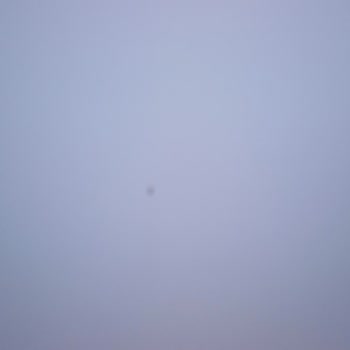 TCL Televizyon TCL Yetersiz Servis Ve Ölü Pixel