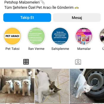 Nisavepatidostlari Hayvan Sahiplendirme Adı Altında