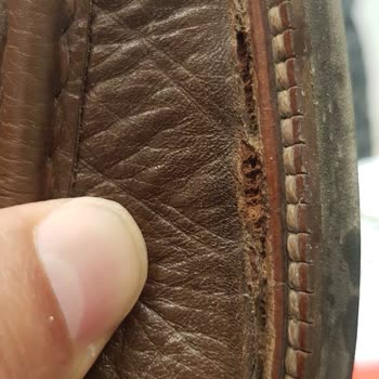 Sözde Büyük Tamer Tanca Kalitesi!