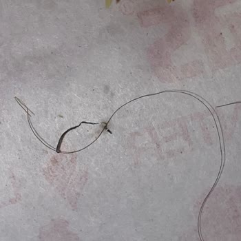 Donas Yemek İçinden Çıkan Kalıntı