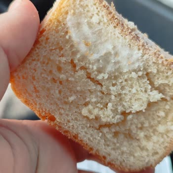 Migros Glutensiz Ekmek Küflenmişti!