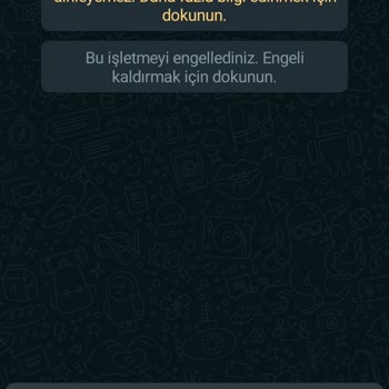 WhatsApp +1 (309)795 58 46le Başlayan Numaradan WhatsApp Üzerinden Gelen Mesaja