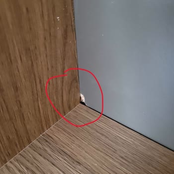 Kelebek Mobilya Sorun Çözümsüzlük Merkezi...