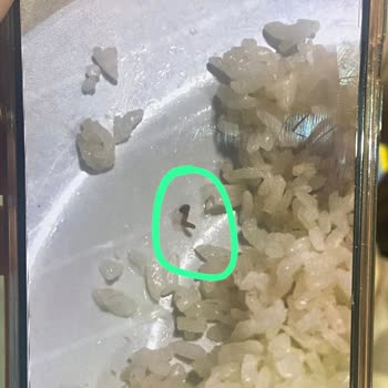 Akçakoca KYK Öğrenci Yurdu Yemeklerden Sürekli Yabancı Cisimler Çıkıyor!