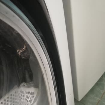 Regal Kurutma Makinesi Kurutma Esnasında Camına Toz