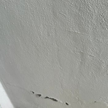 DASK (Doğal Afet Sigortaları Kurumu) Evimdeki Hasarlar İle İlgili Şikayetim