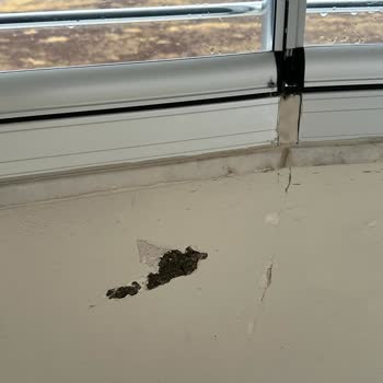 DASK (Doğal Afet Sigortaları Kurumu) Evimdeki Hasarlar İle İlgili Şikayetim