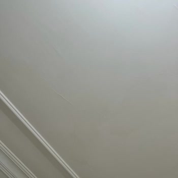 DASK (Doğal Afet Sigortaları Kurumu) Evimdeki Hasarlar İle İlgili Şikayetim