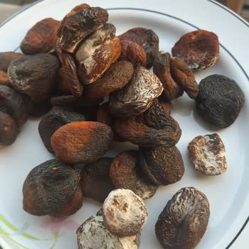 A101 Çerezya Marka Gün Kurusu Bozuk Çıktı!