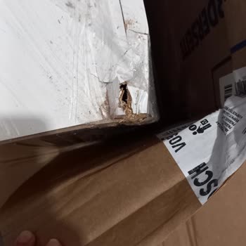 Epttavm'den Kırık Ürün Geldi