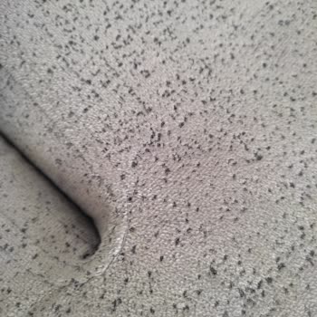 Konfor Mobilya Değil Sanki Komşu Mobilya