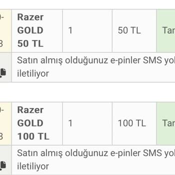 Epinden Satın Aldığım Razer Gold Kartları
