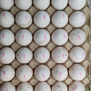 Essen Market Bozuk Ürün Satılması