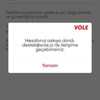 Vole.io Vole Hesabımı Sildim Hesabı Alamıyorum Ya Da Yeni Hesap Açamıyorum