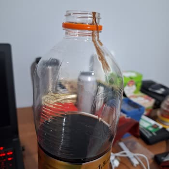 Didi Şeftali İçindeki Garip Şey