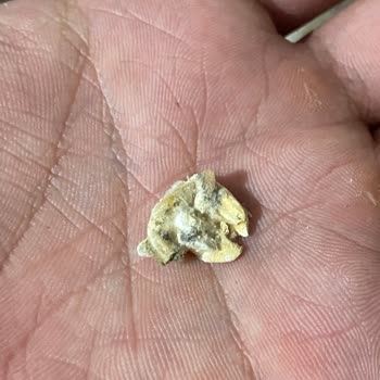 BİM'den Aldığım Baldo Pirincin İçinden Çıkanlar Ve Kalite Düşüklüğü