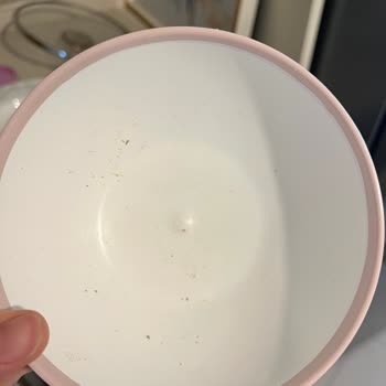 Yeşil Anne Mom's Green Hayal Kırıklığı İçerir