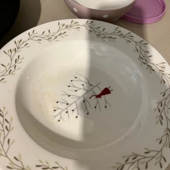 Yeşil Anne Mom's Green Hayal Kırıklığı İçerir