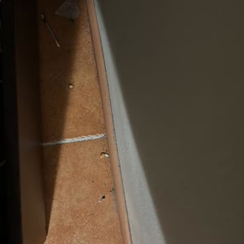 Tatil Sepeti Aldatmacası Hayal Kırıklığı