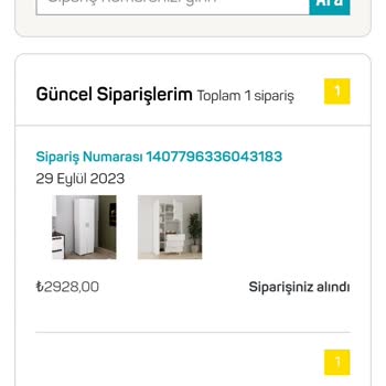 A101 İnternet Sitesi Pişmanlığı