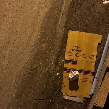 Formet Çelik Kapı Firması Çalışanları