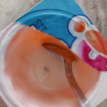 İçim Danone'nin İçerisinden Çıkan Böcek