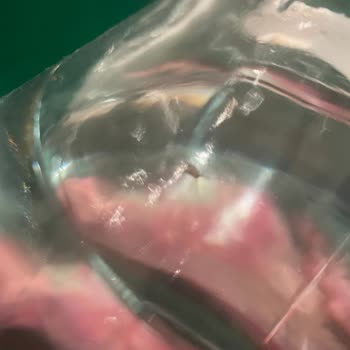 Pınar Su Cam Damacanadan Böcek Çıktı