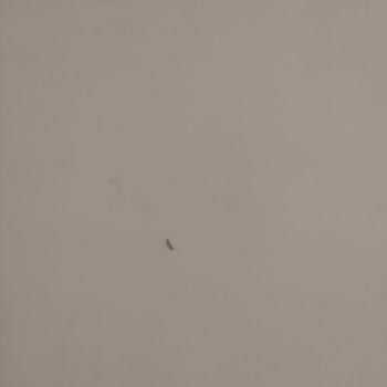 İzmir Çiğli Cihannüma Kız KYK Yurdu