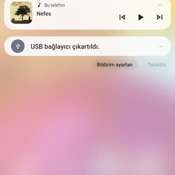 Samsung Telefon Telefonun Şarj Olmaması