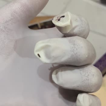 Carrefour SA Lux Çerezlik Lokumda Canlı Böcek