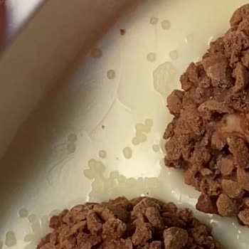 KİNDER'DE Bakteri Oluşumu