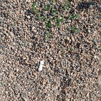 Kırıkkale Valiliği Oyun Park Alanın Kirli Ve Oyuncakların Kirli Olması