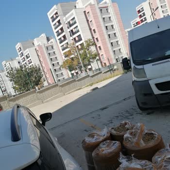 Her Zamanki Gibi Sürat Kargo Saygısızlığı