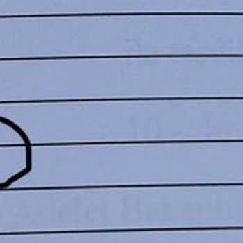 World Teknoloji Bürosu Hatalı Çeviri Yaptı