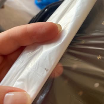 File Market Sağlığımızı Tehdit Ediyor, Her Üründe Böcek Var