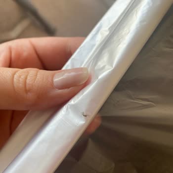 File Market Sağlığımızı Tehdit Ediyor, Her Üründe Böcek Var