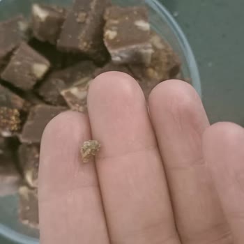 Seyidoğlu Gıda Taş Parçası Çıktı