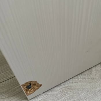 Enza Home Teslim Edilmeyen Ve Hatalı Ürünler, Teknik Servis Sorunları