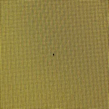 LG Tv 8 Ölü Piksel Şartı!