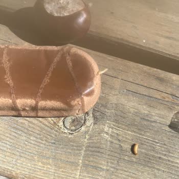 Eti Gıda Etki Browni İntense İçinden Solucan Çıktı