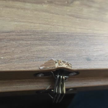 Confident Arnavutköy Satış Sonrası Hizmet Sıfır