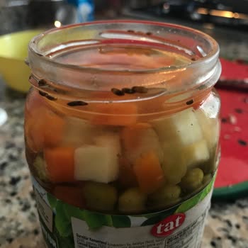 Tat Gıda Garnitür Konservede Böceklenme