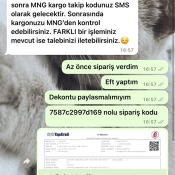 Rise & Shine İlgisizlik, Dönüş Yok Mağduriyet