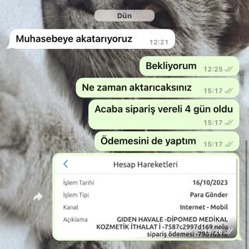 Rise & Shine İlgisizlik, Dönüş Yok Mağduriyet