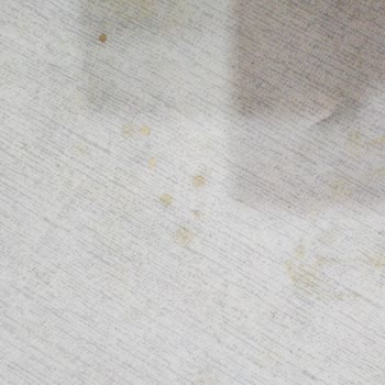 Tefal Pro Express Vision Sarı Su Ve Kireç