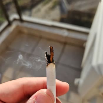 Philip Morris Kurum İmajı Ve Sigara