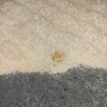 Damla Halı Yıkama (Ankara) Aldığı Parayı Hak Etmeyen Firma