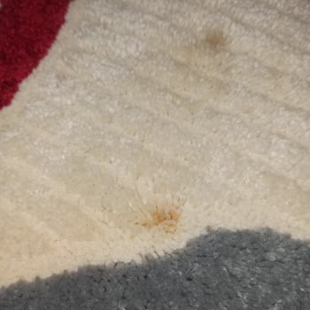 Damla Halı Yıkama (Ankara) Aldığı Parayı Hak Etmeyen Firma