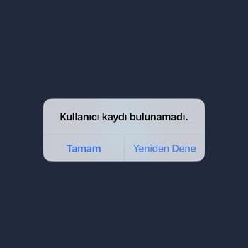 Bitexen Tüm Gün Param Hesabıma Geçmedi